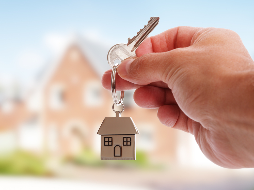 Real Estate Agent